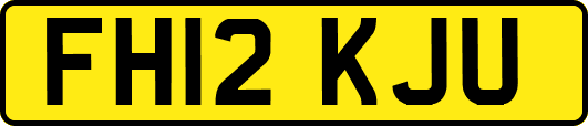 FH12KJU