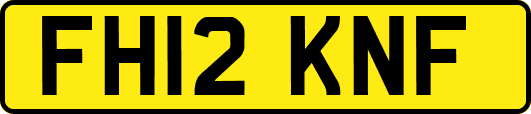 FH12KNF