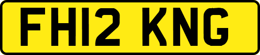 FH12KNG