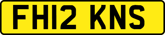 FH12KNS