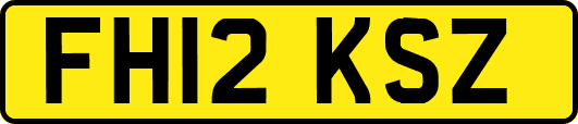 FH12KSZ