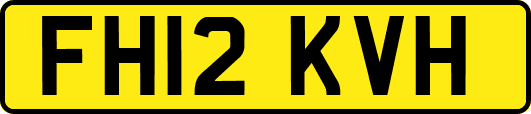 FH12KVH