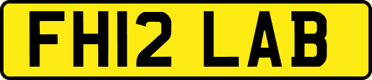 FH12LAB