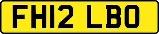 FH12LBO