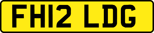 FH12LDG
