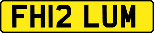 FH12LUM