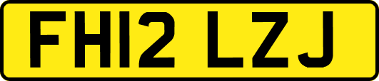FH12LZJ