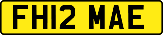 FH12MAE