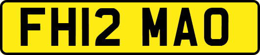 FH12MAO