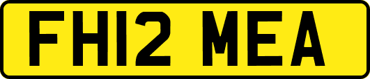 FH12MEA