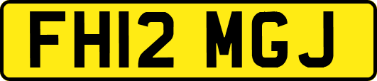 FH12MGJ