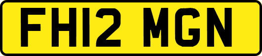 FH12MGN