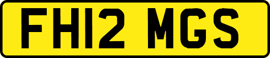 FH12MGS