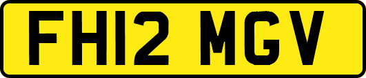 FH12MGV