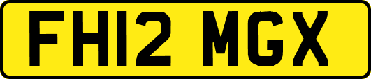 FH12MGX