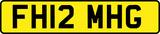 FH12MHG