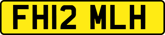 FH12MLH