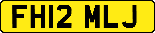 FH12MLJ