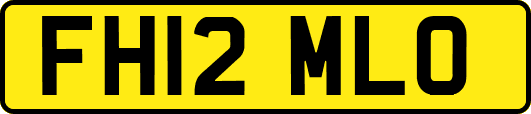 FH12MLO
