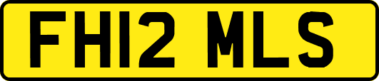 FH12MLS