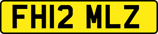 FH12MLZ
