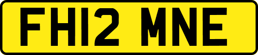 FH12MNE