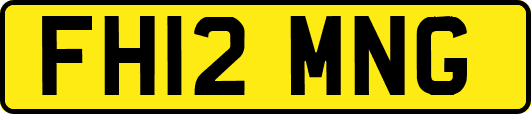 FH12MNG