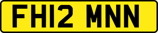 FH12MNN