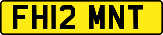 FH12MNT