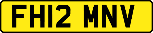 FH12MNV