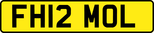 FH12MOL