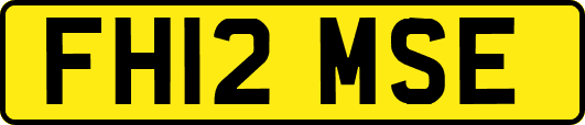 FH12MSE