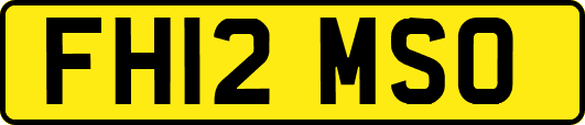 FH12MSO