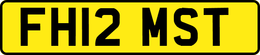 FH12MST