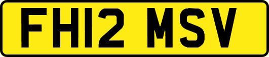 FH12MSV