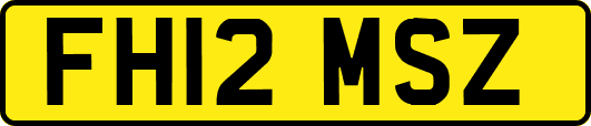 FH12MSZ