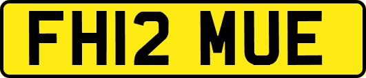 FH12MUE