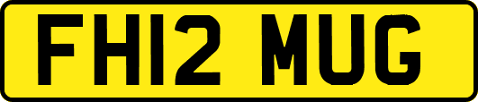FH12MUG