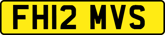 FH12MVS