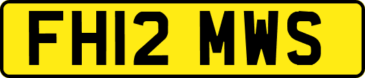 FH12MWS