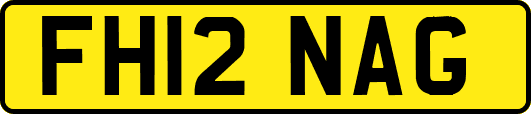 FH12NAG