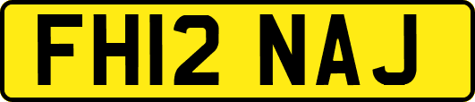 FH12NAJ