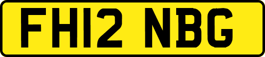 FH12NBG