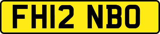 FH12NBO