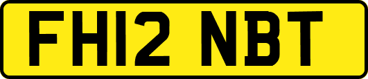 FH12NBT