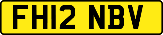 FH12NBV