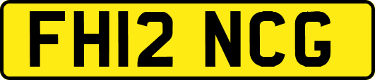 FH12NCG