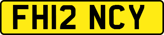 FH12NCY