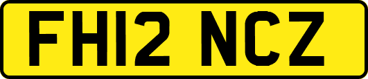FH12NCZ