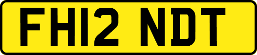 FH12NDT